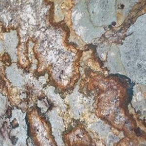 Earthtone, Granite, Exotic