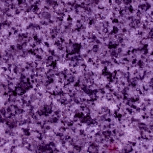 Purple Marble, Exotic